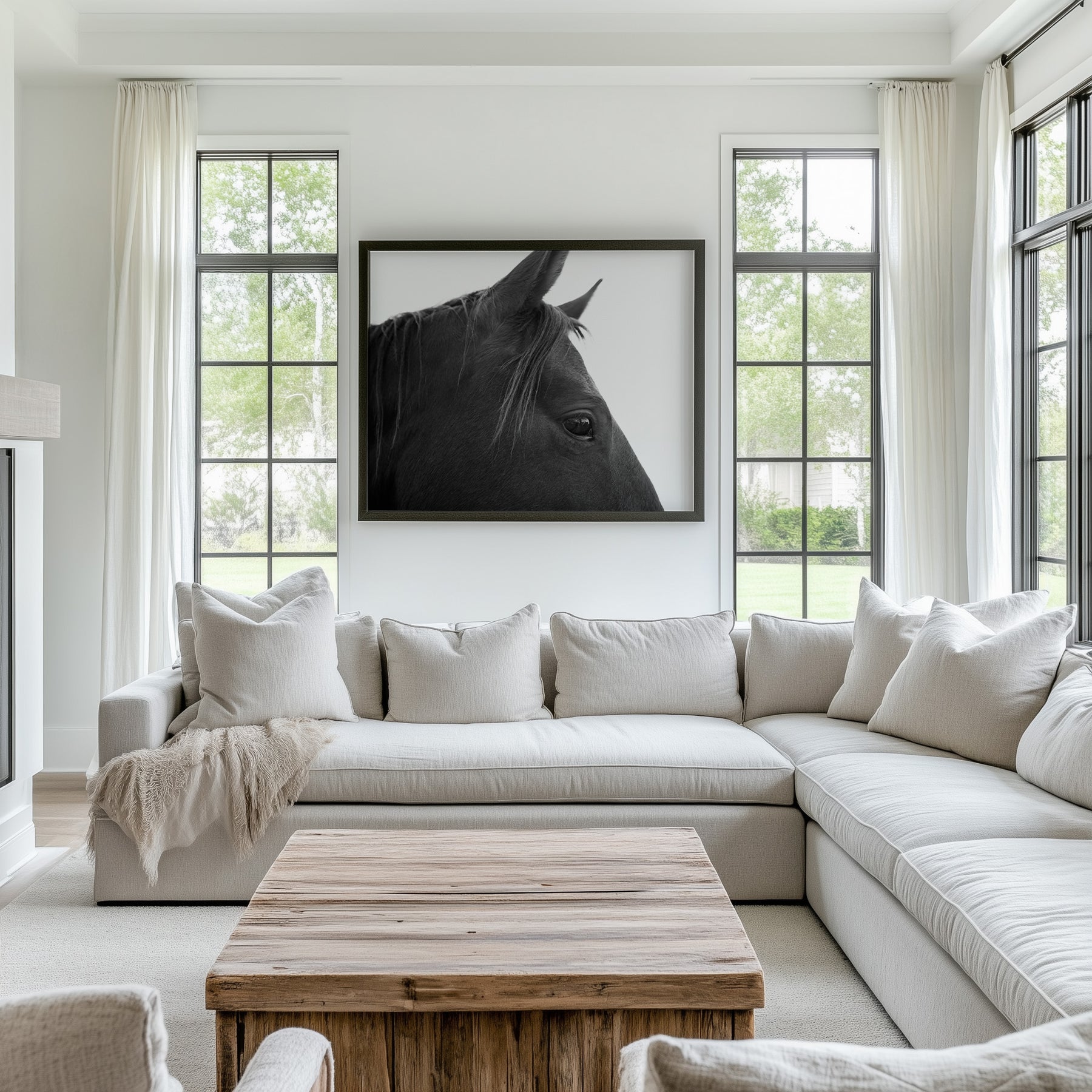 Black Horse Profile