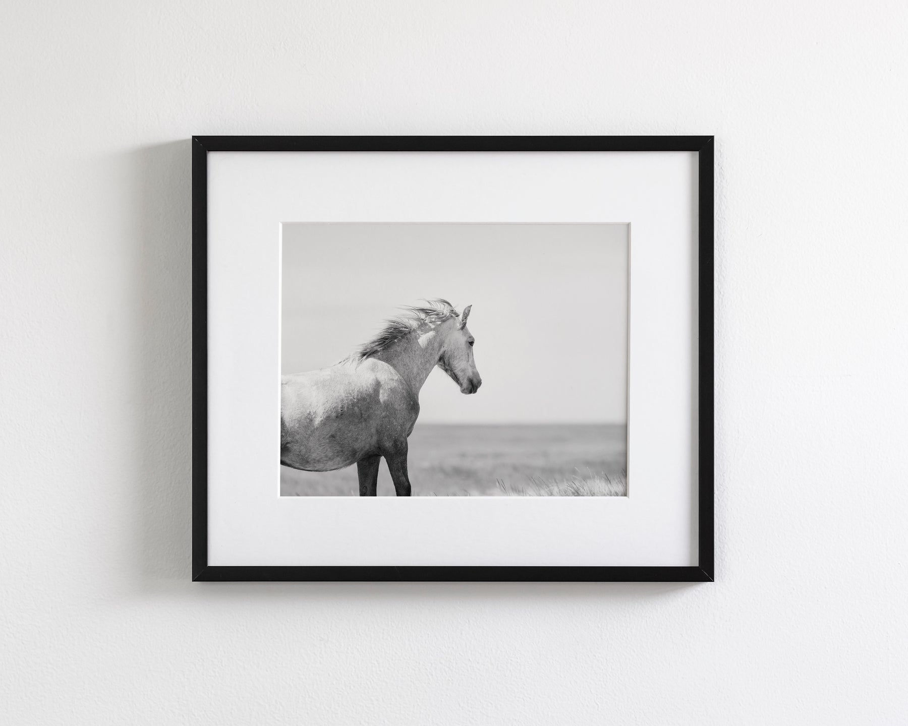 In the Wind, Wild Horse