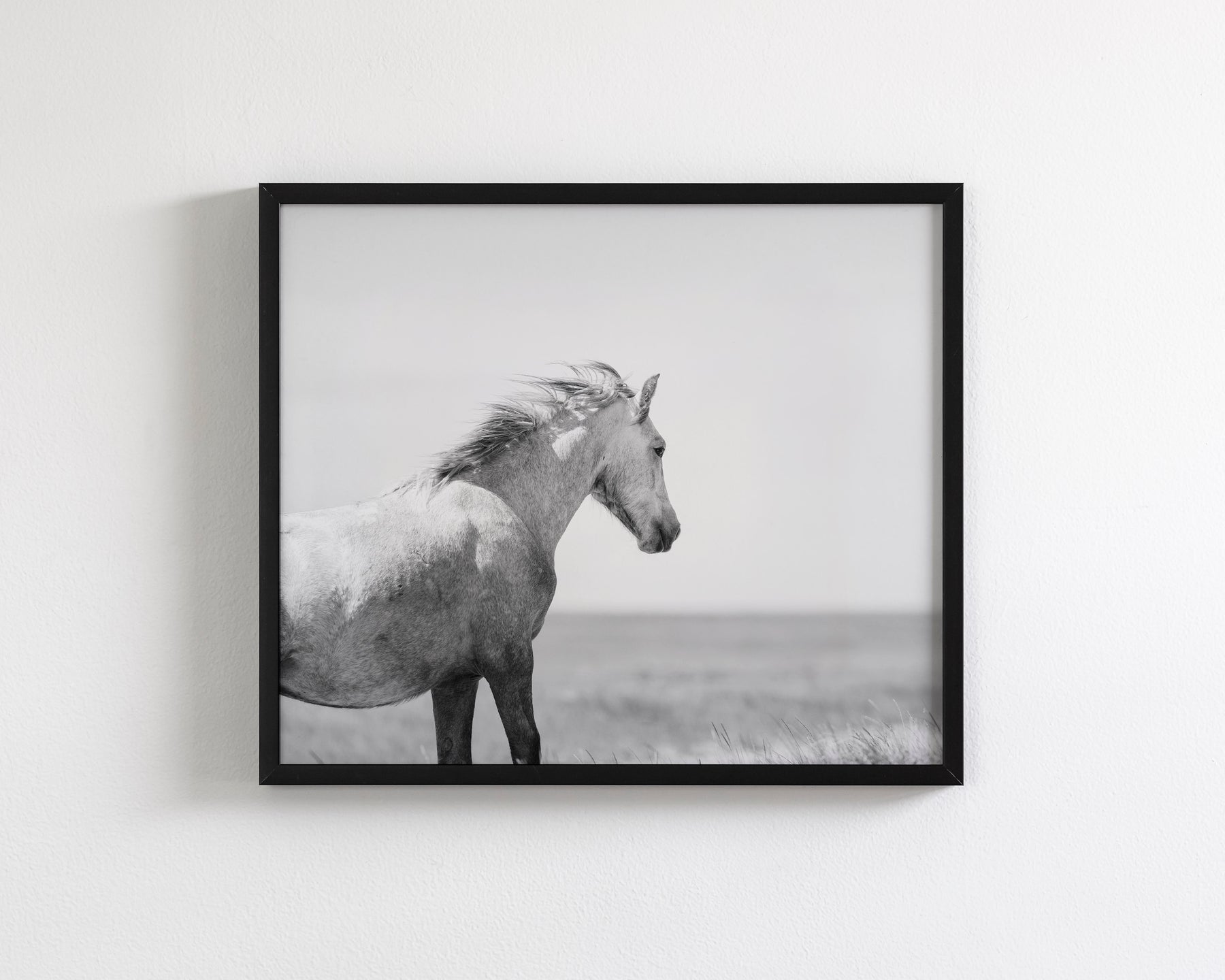 In the Wind, Wild Horse