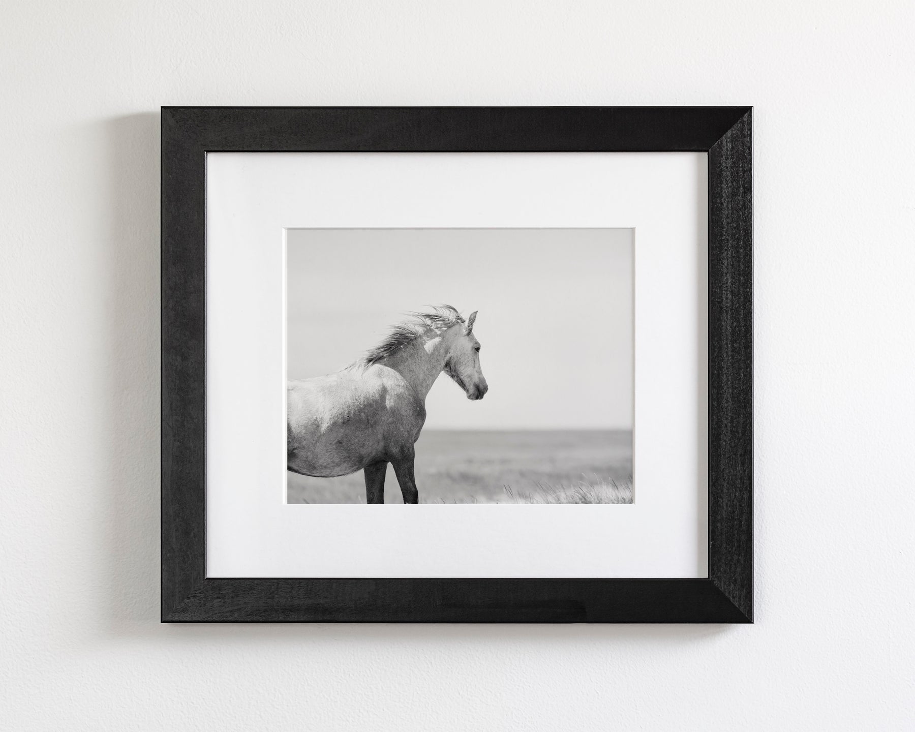 In the Wind, Wild Horse