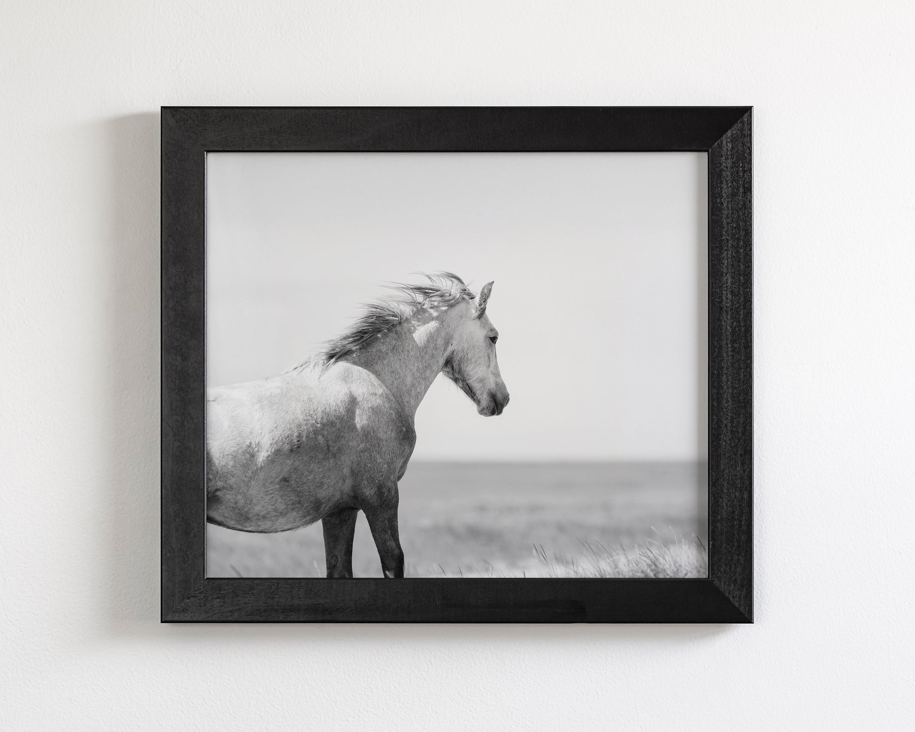 In the Wind, Wild Horse
