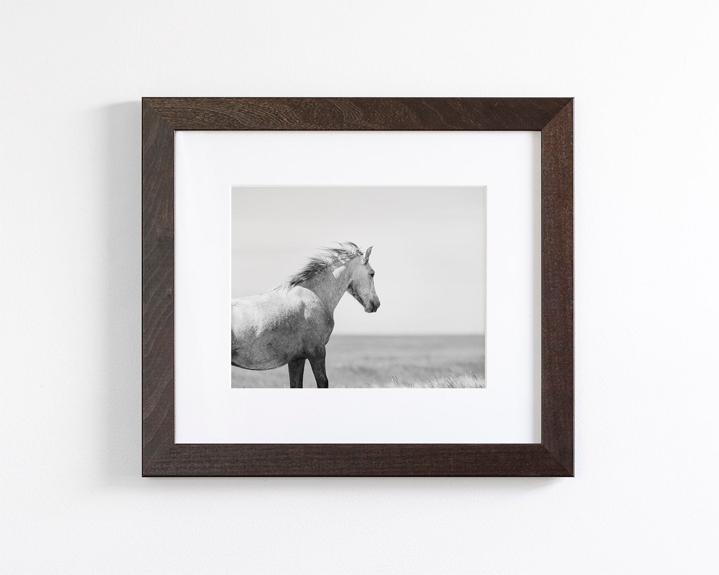 In the Wind, Wild Horse