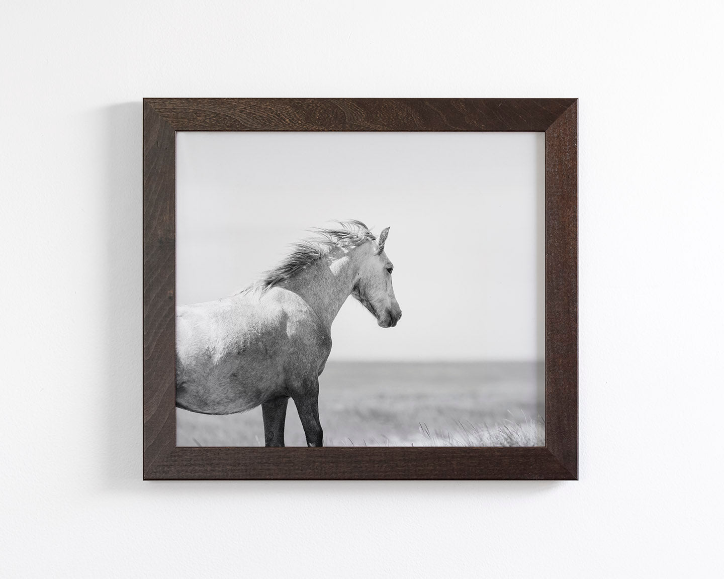 In the Wind, Wild Horse