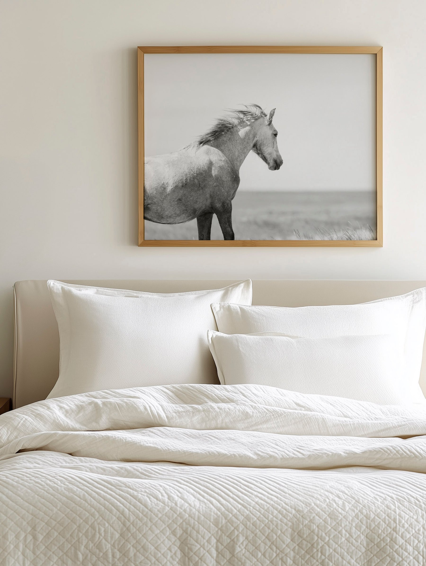 In the Wind, Wild Horse