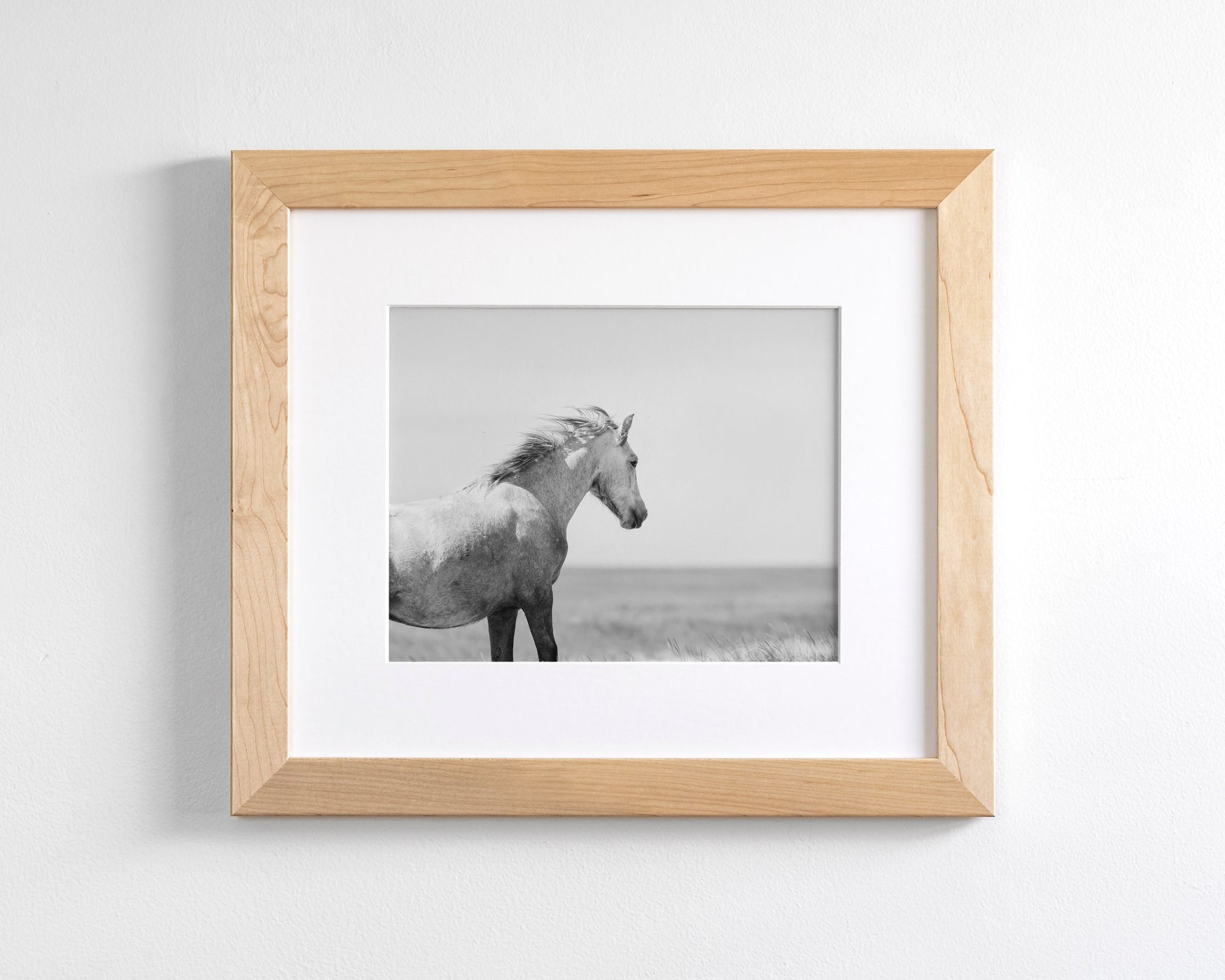 In the Wind, Wild Horse