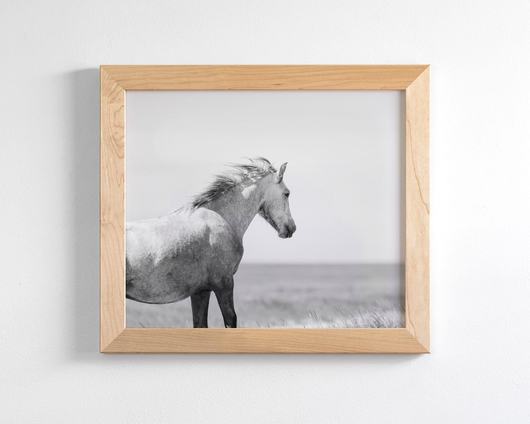 In the Wind, Wild Horse