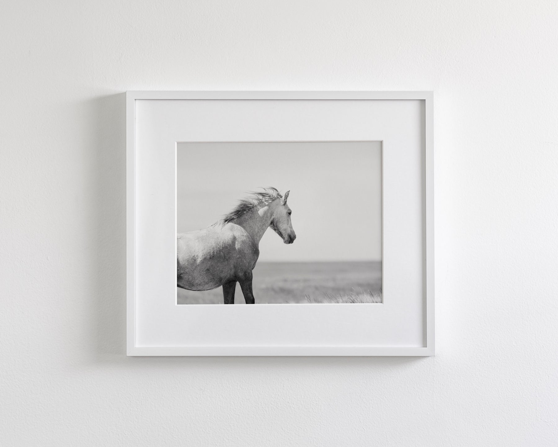 In the Wind, Wild Horse