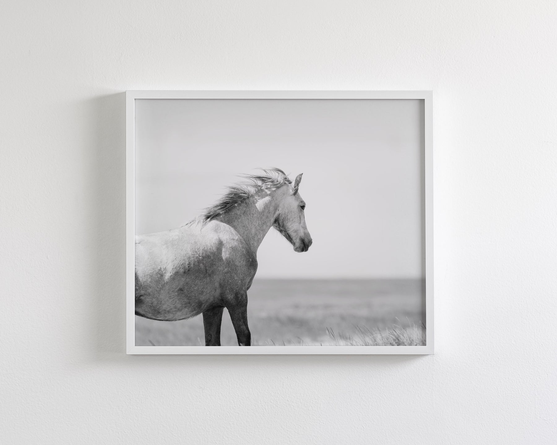 In the Wind, Wild Horse