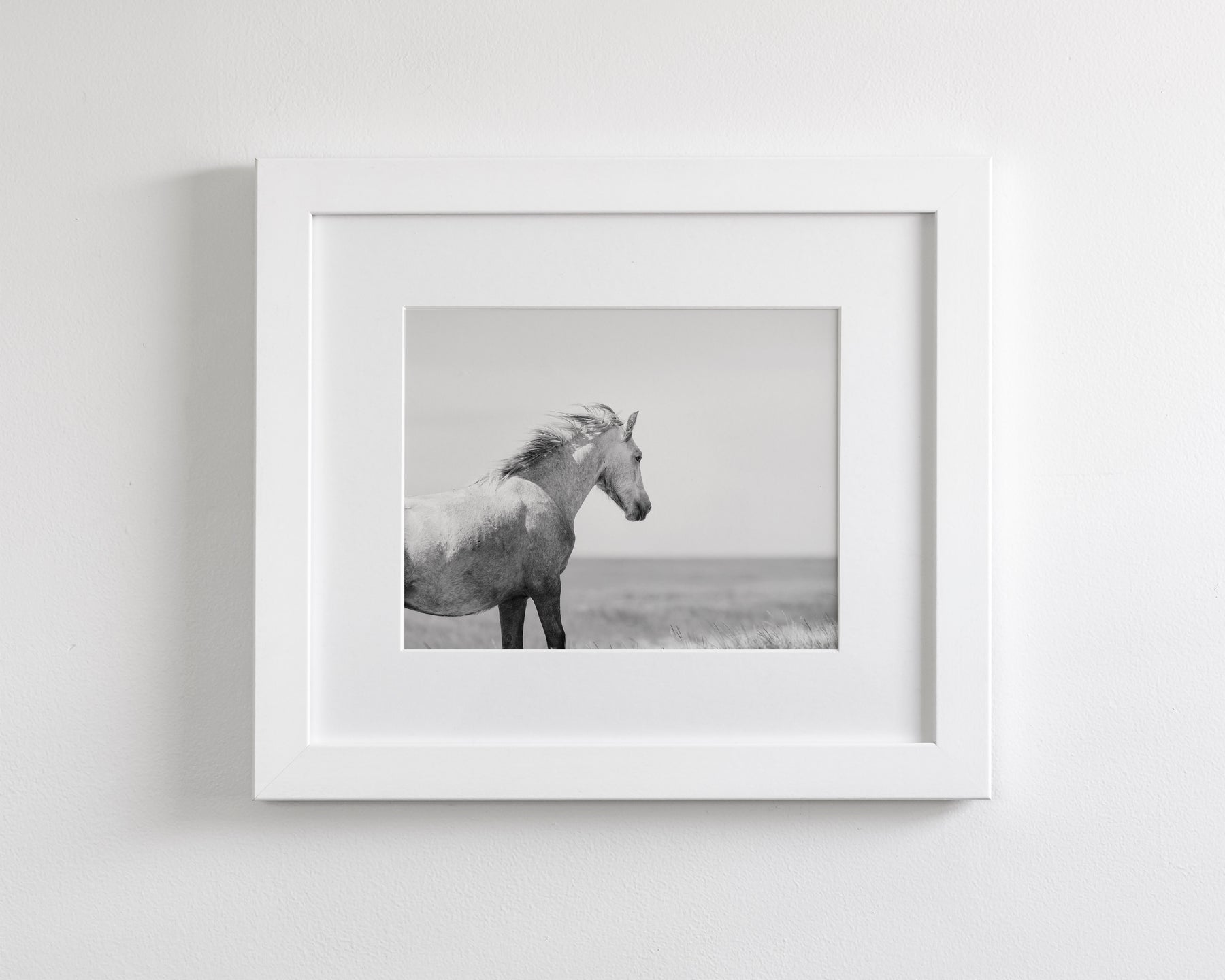In the Wind, Wild Horse