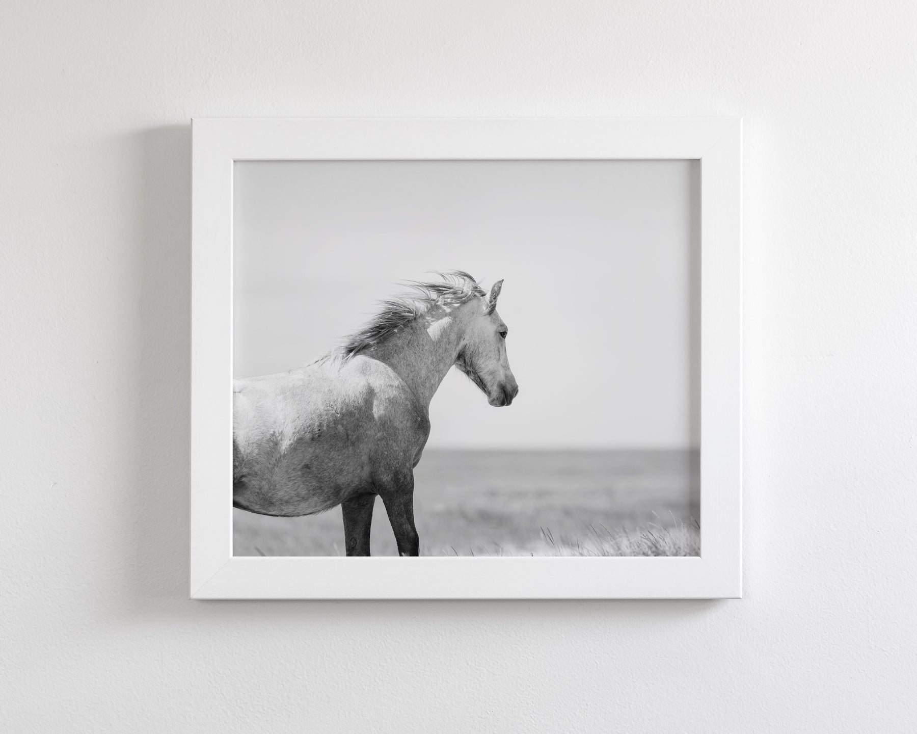 In the Wind, Wild Horse