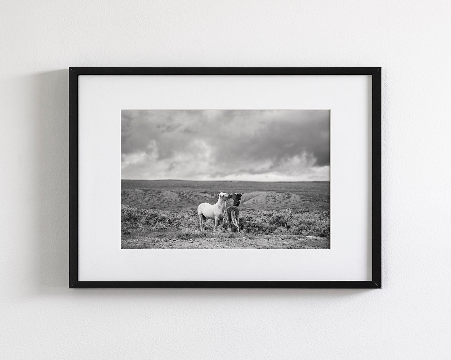 Stormy Play, Wild Horses