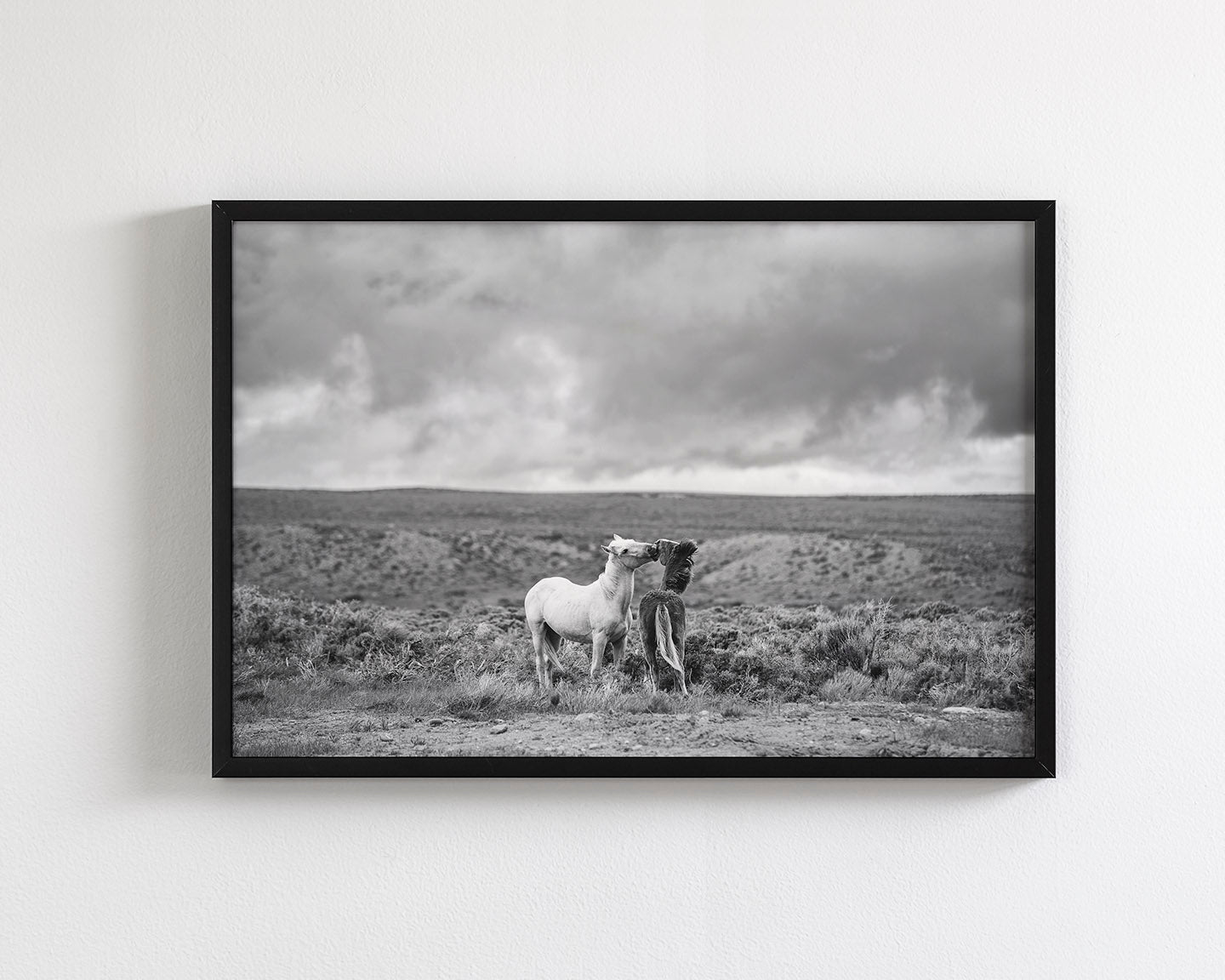 Stormy Play, Wild Horses