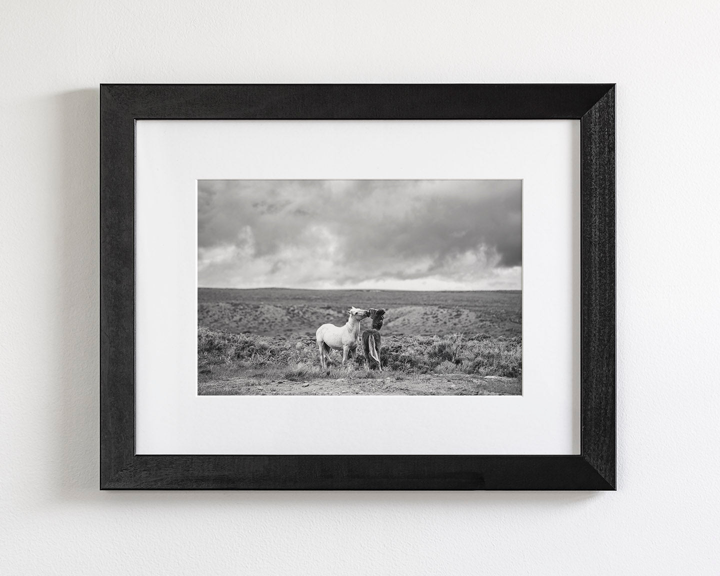 Stormy Play, Wild Horses