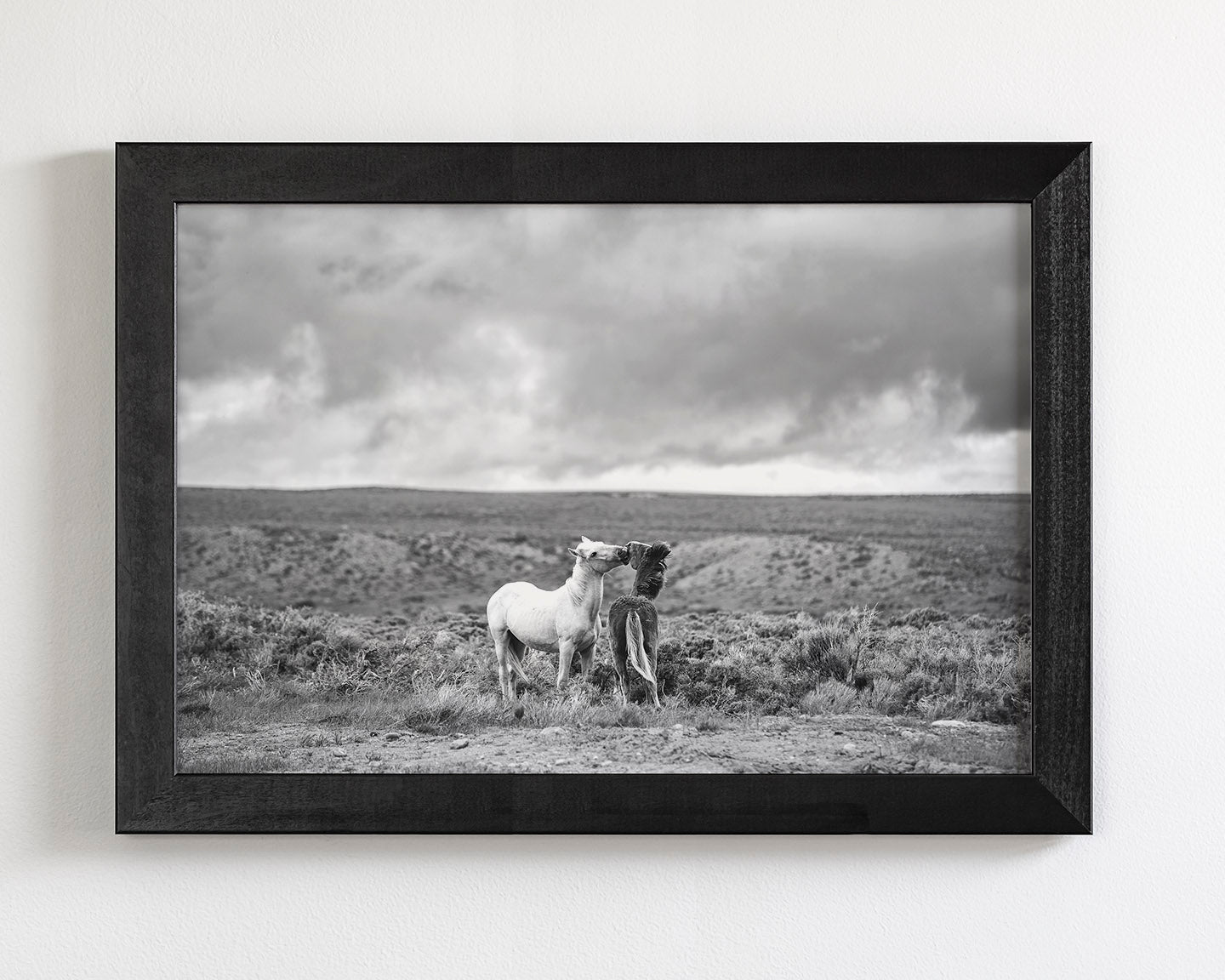 Stormy Play, Wild Horses