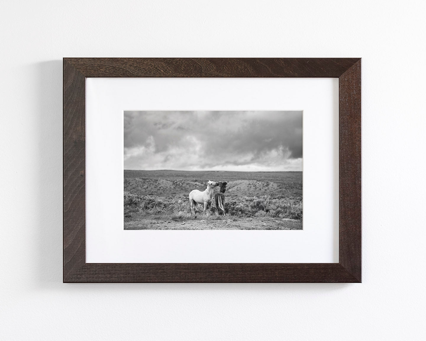 Stormy Play, Wild Horses