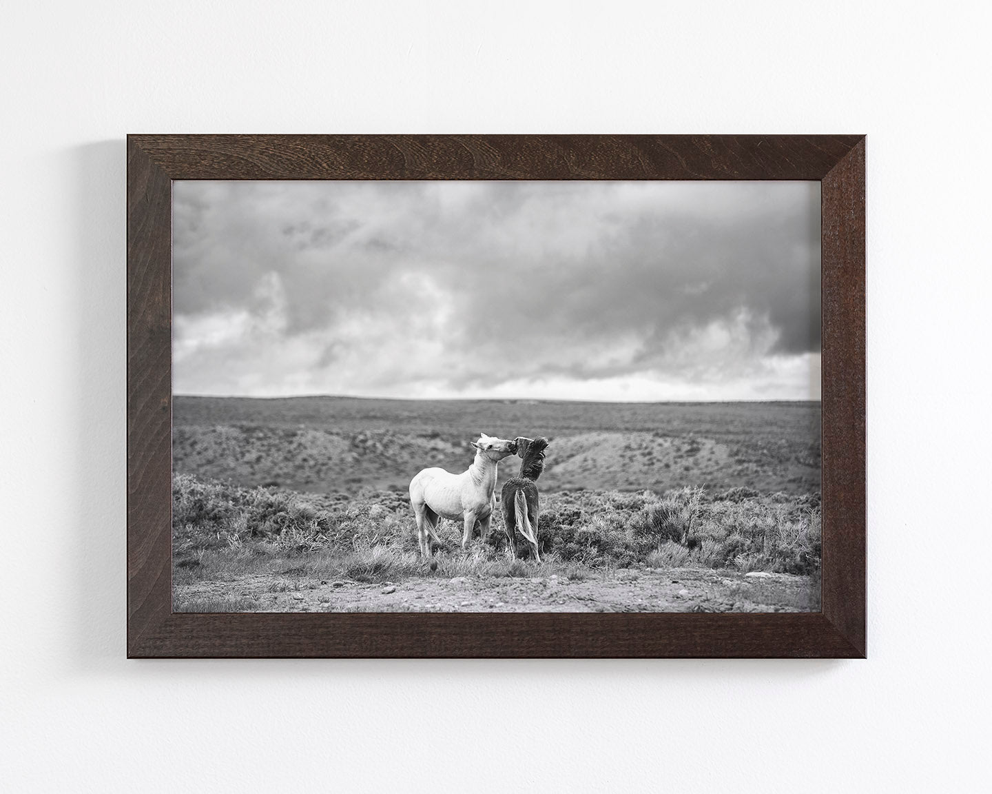 Stormy Play, Wild Horses