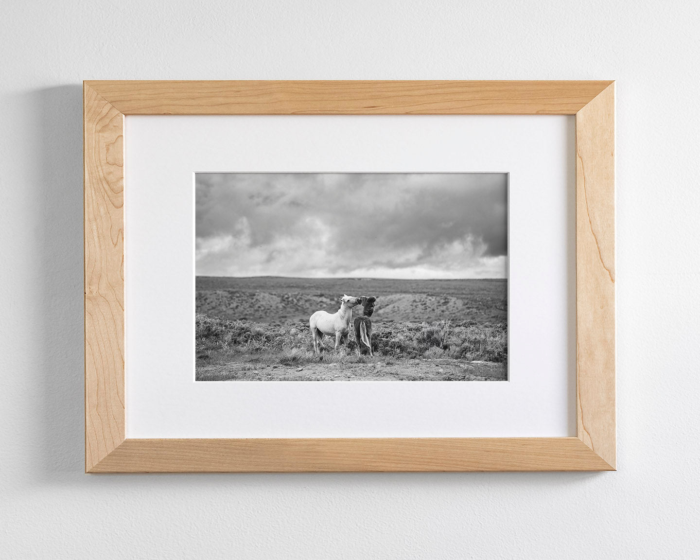 Stormy Play, Wild Horses