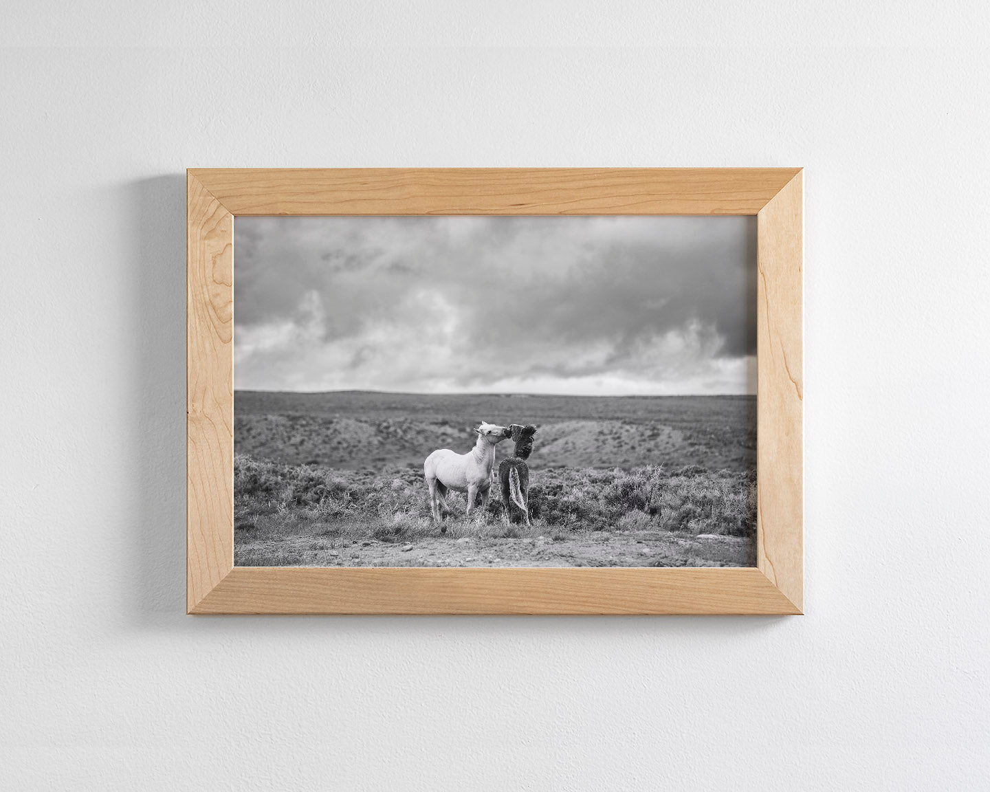 Stormy Play, Wild Horses