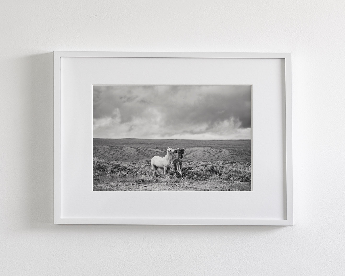 Stormy Play, Wild Horses