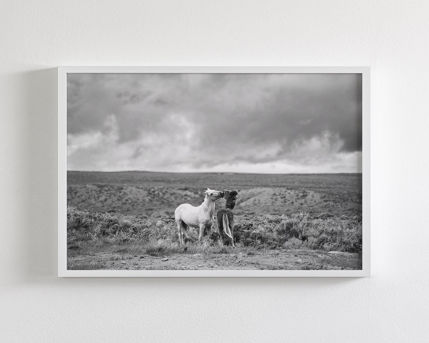 Stormy Play, Wild Horses