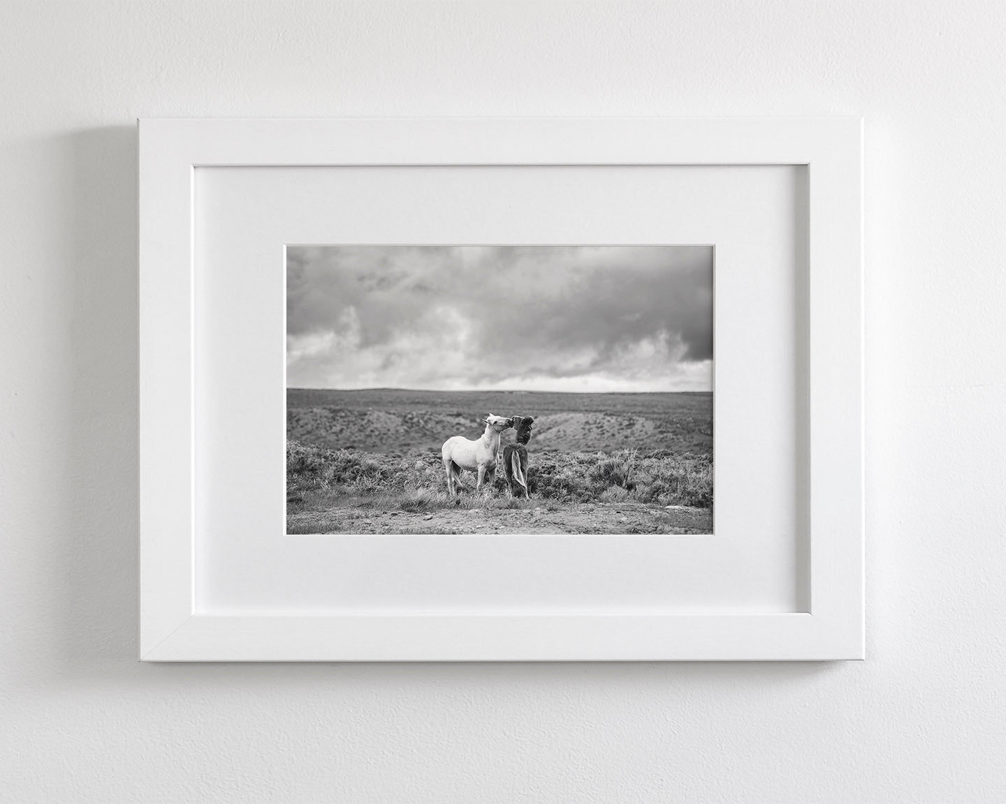 Stormy Play, Wild Horses