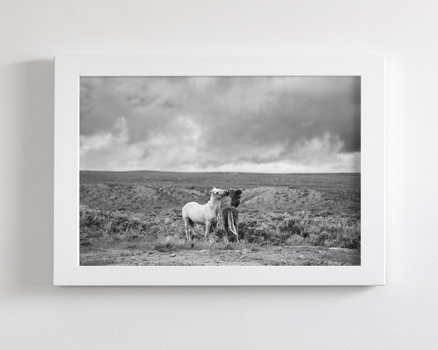 Stormy Play, Wild Horses