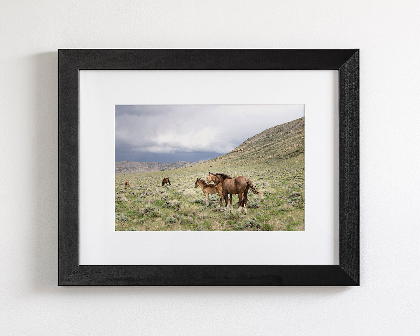Three Little Wild Horses