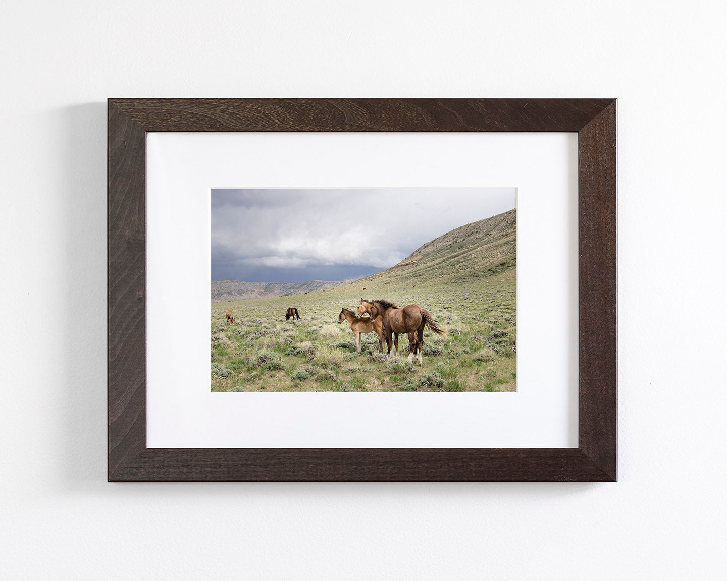 Three Little Wild Horses