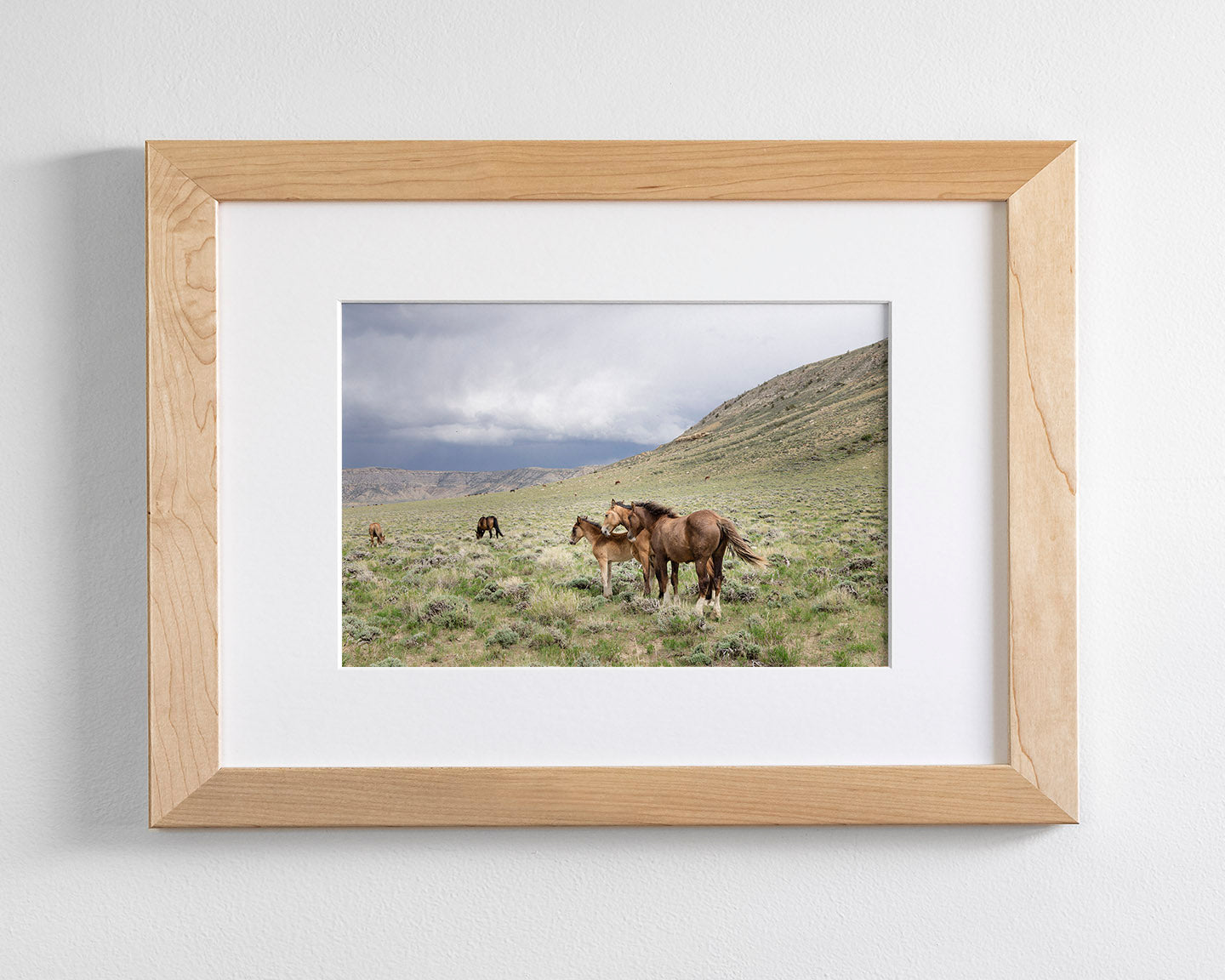 Three Little Wild Horses