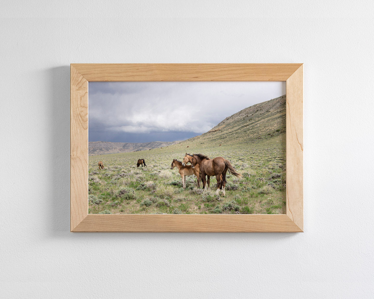Three Little Wild Horses