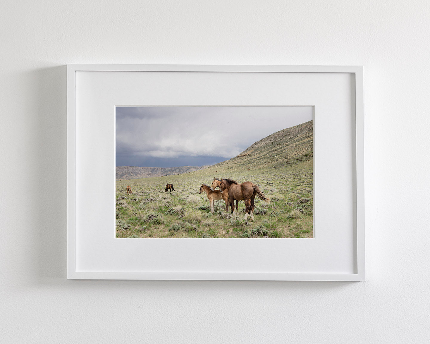Three Little Wild Horses