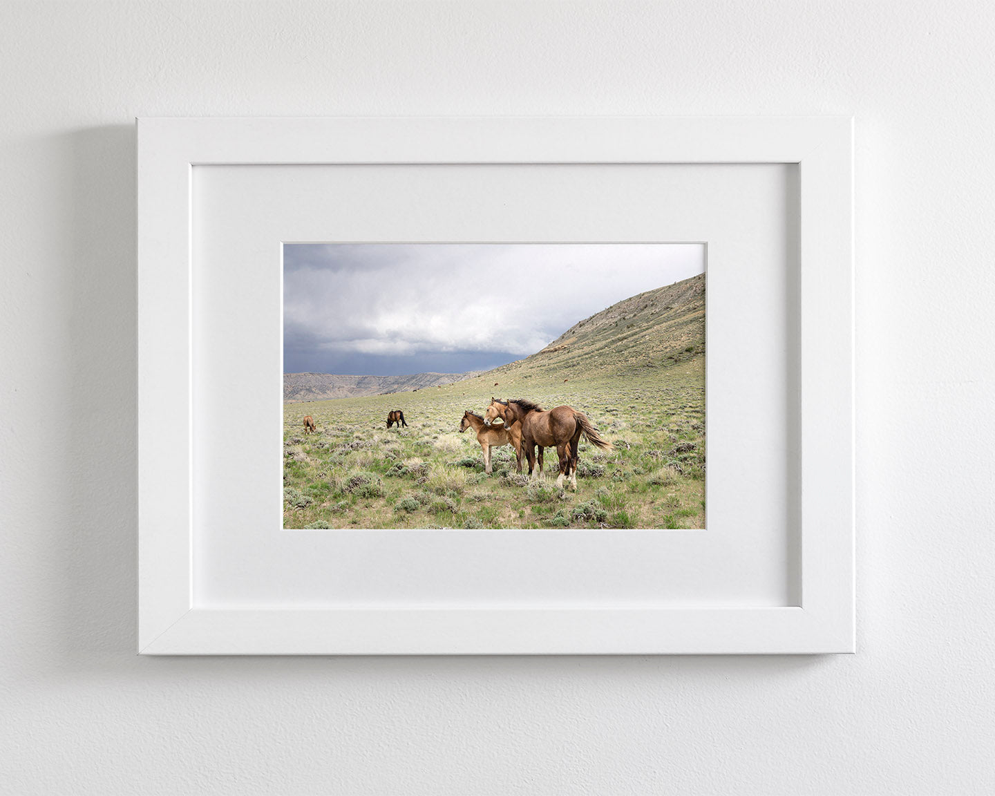 Three Little Wild Horses