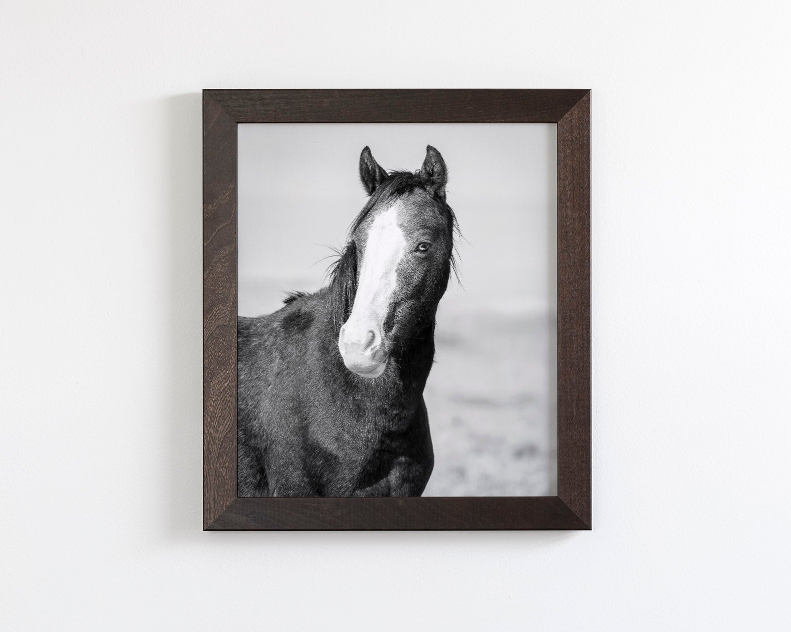 Wild Horse Gaze, Black and White