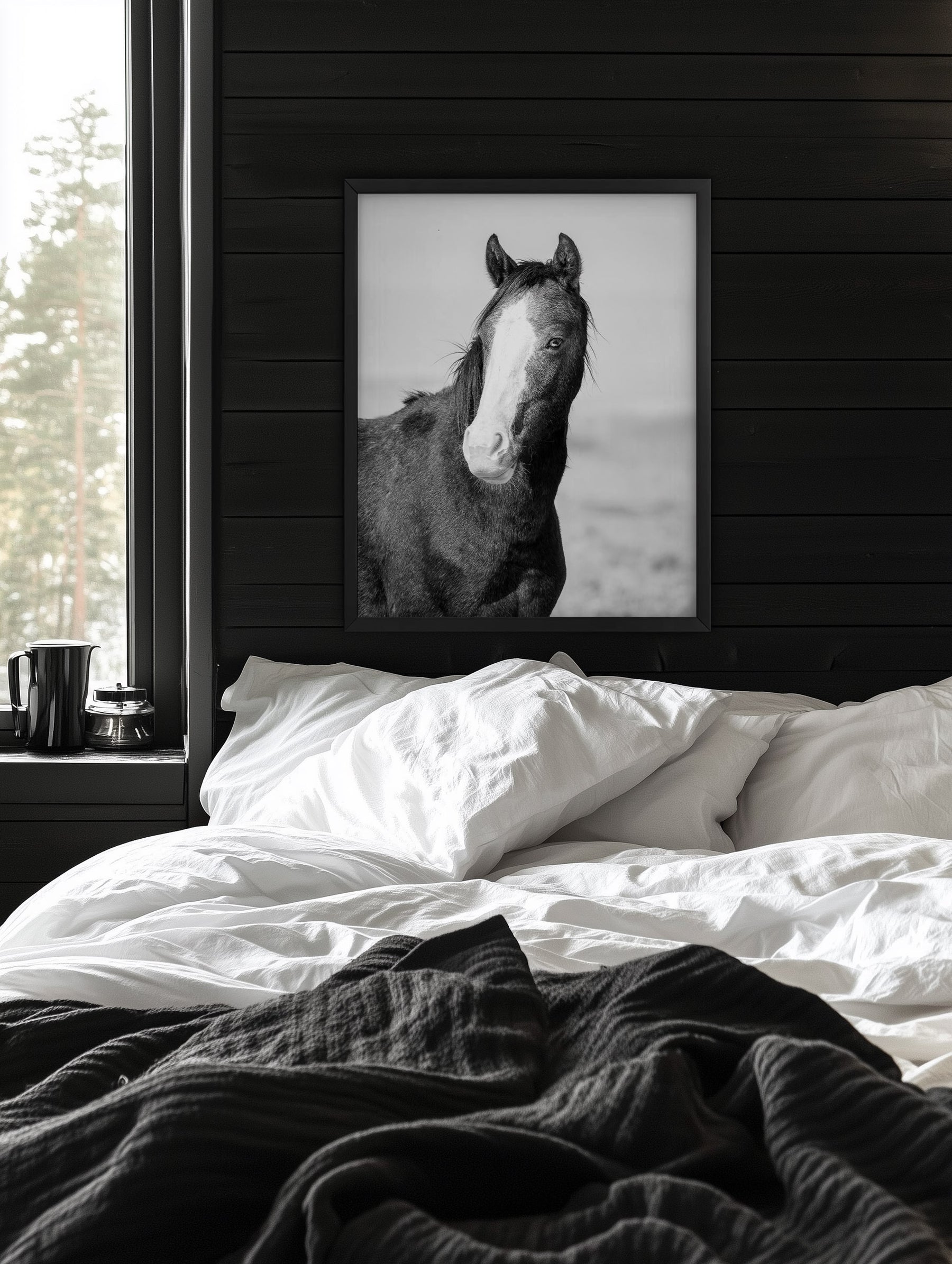 Wild Horse Gaze, Black and White