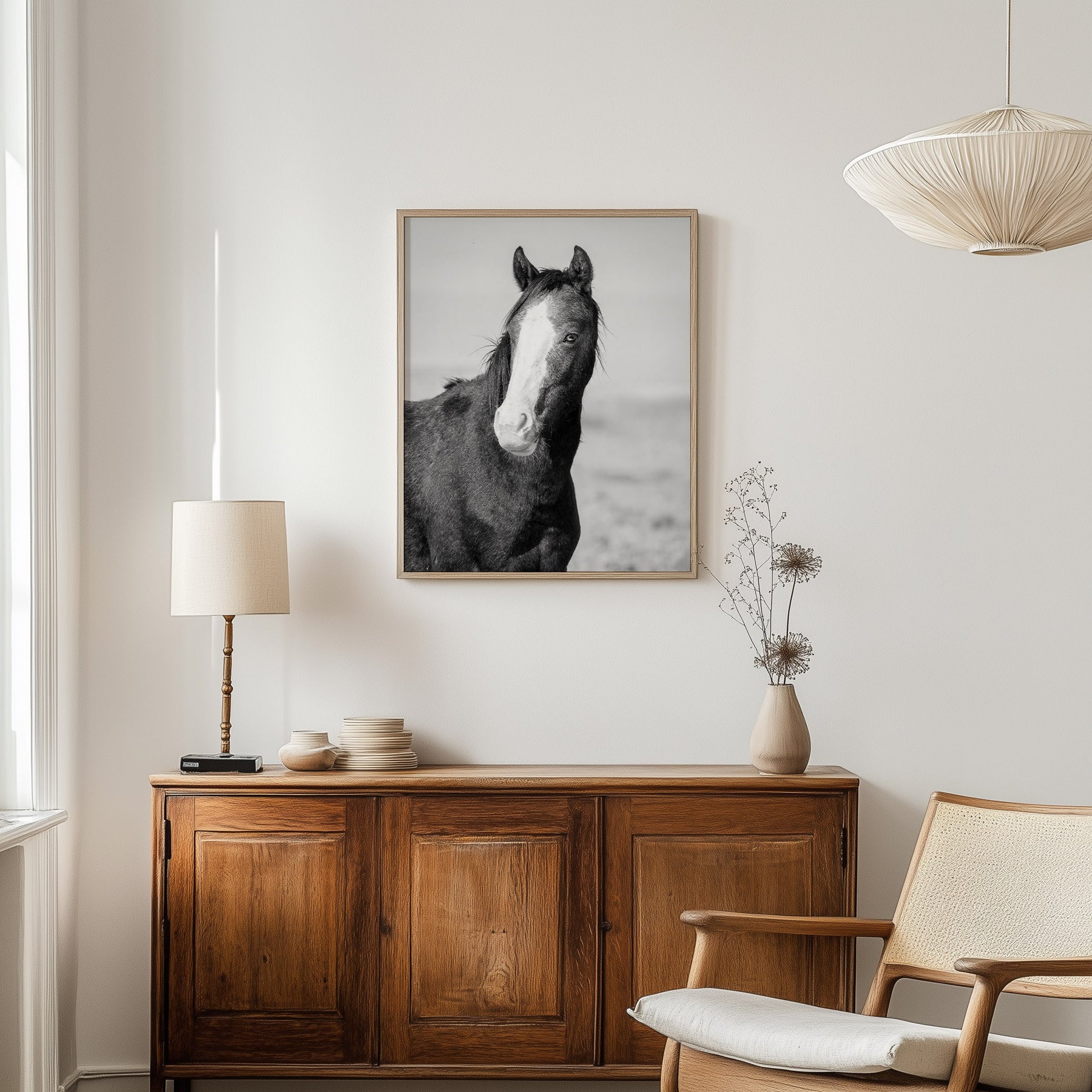 Wild Horse Gaze, Black and White