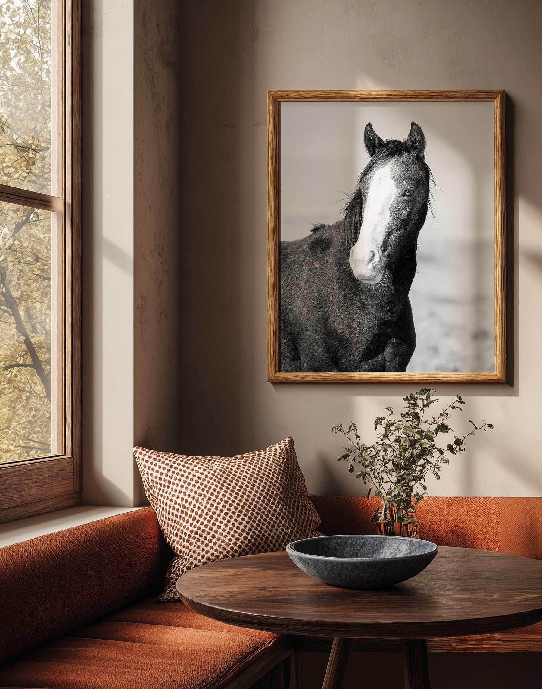Wild Horse Gaze, Black and White