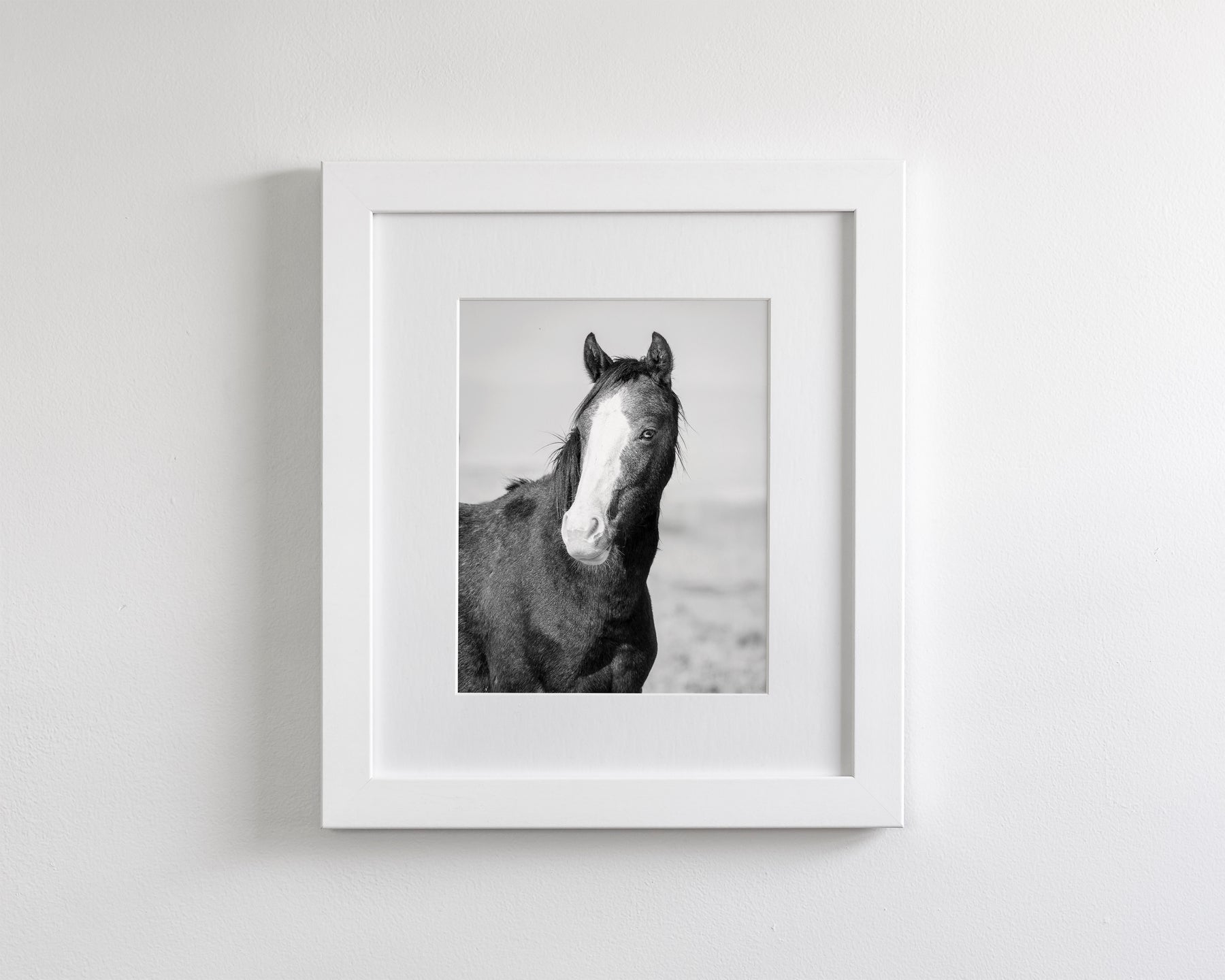 Wild Horse Gaze, Black and White