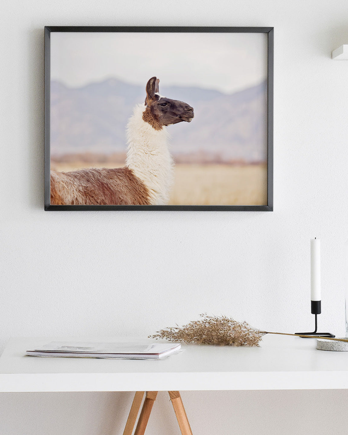 Mountain Llama