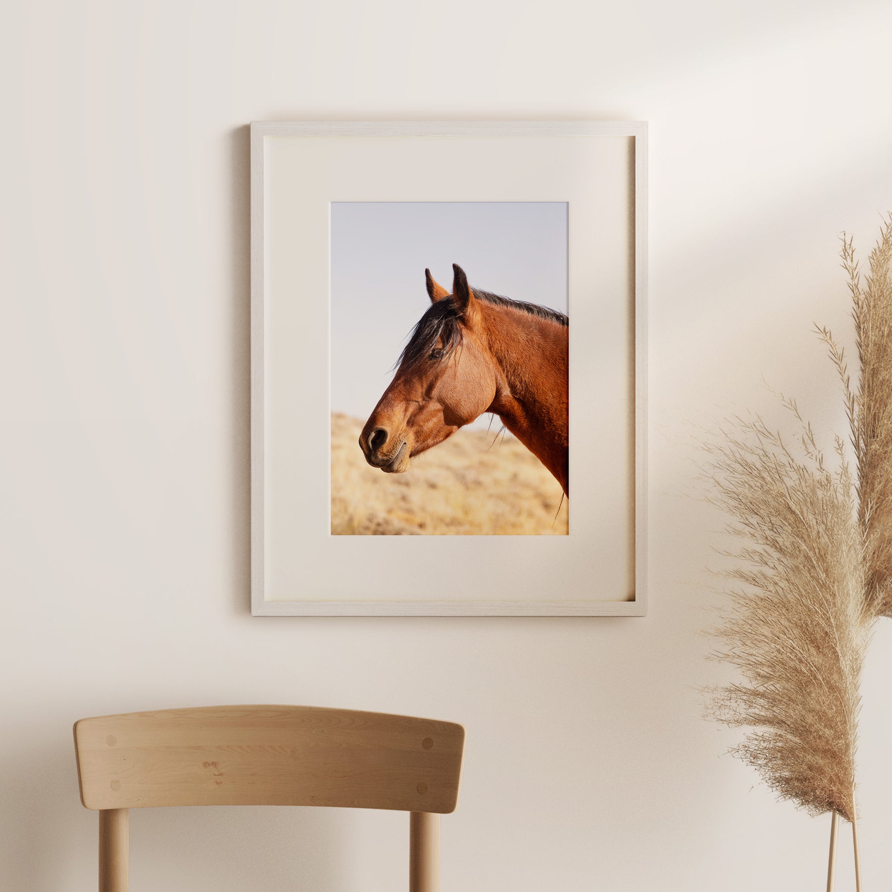 Wild Bay Horse Profile