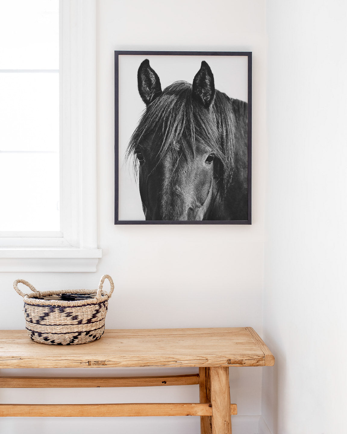 Black Horse Photograph