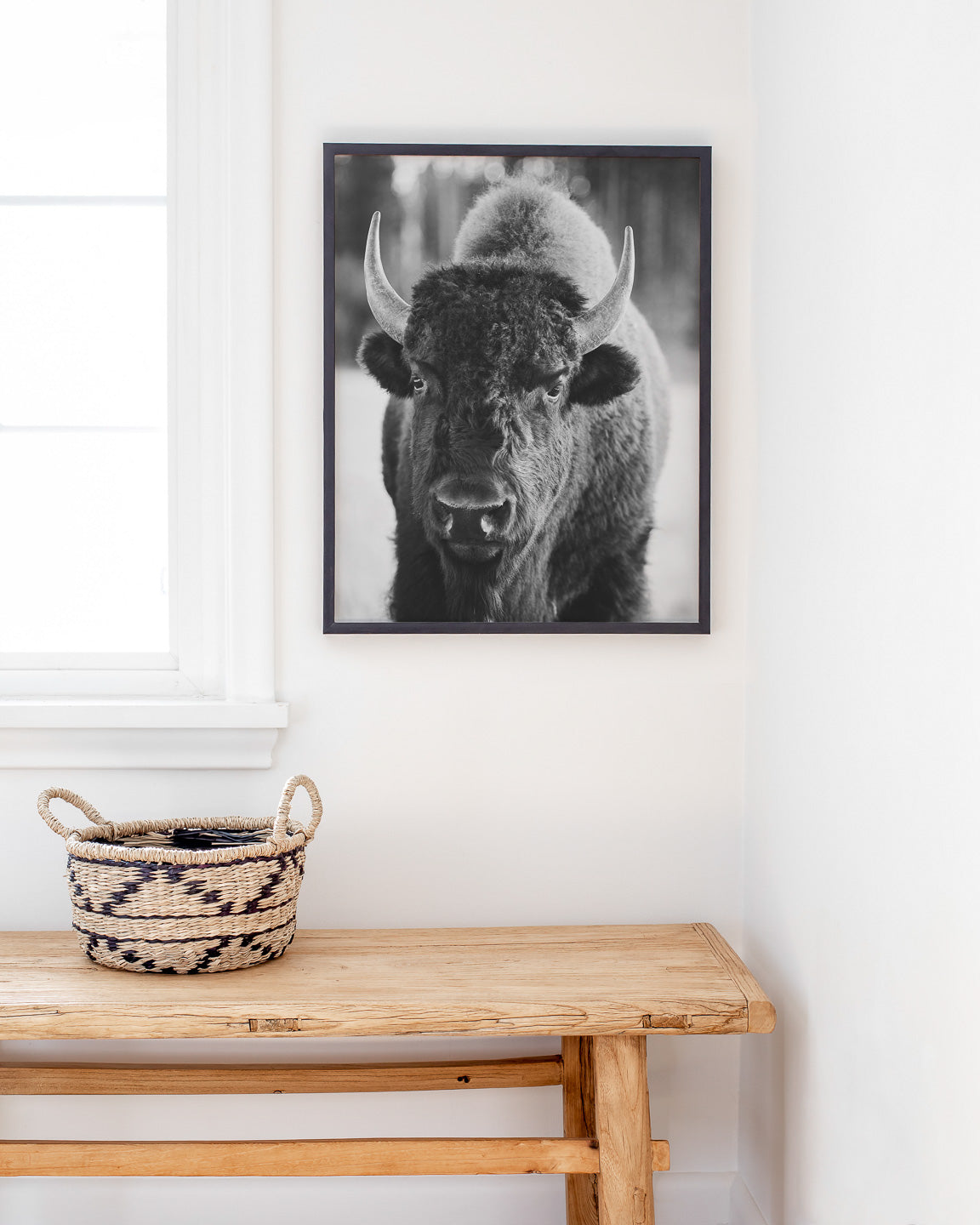 Bison Portrait