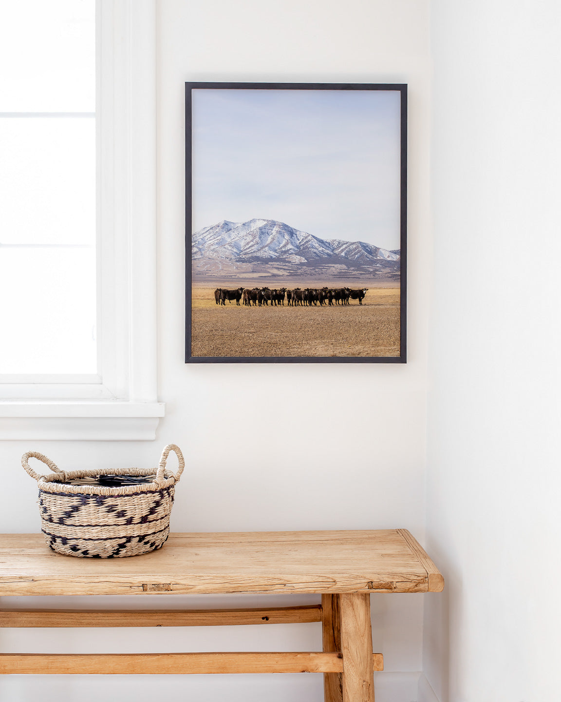 Cattle Herd