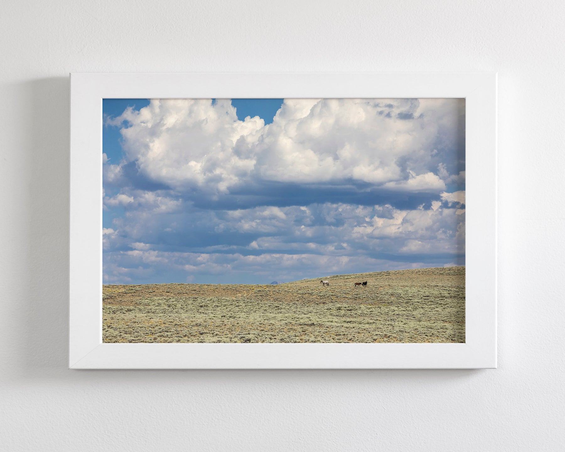Cloud Cover
