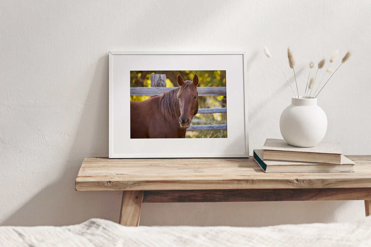 Country Equine Photography