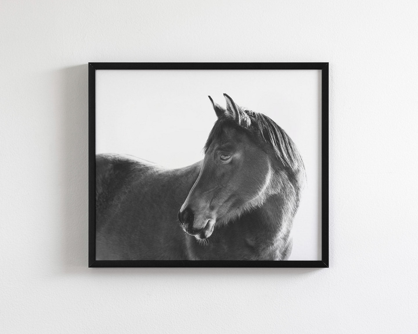 Dark Horse