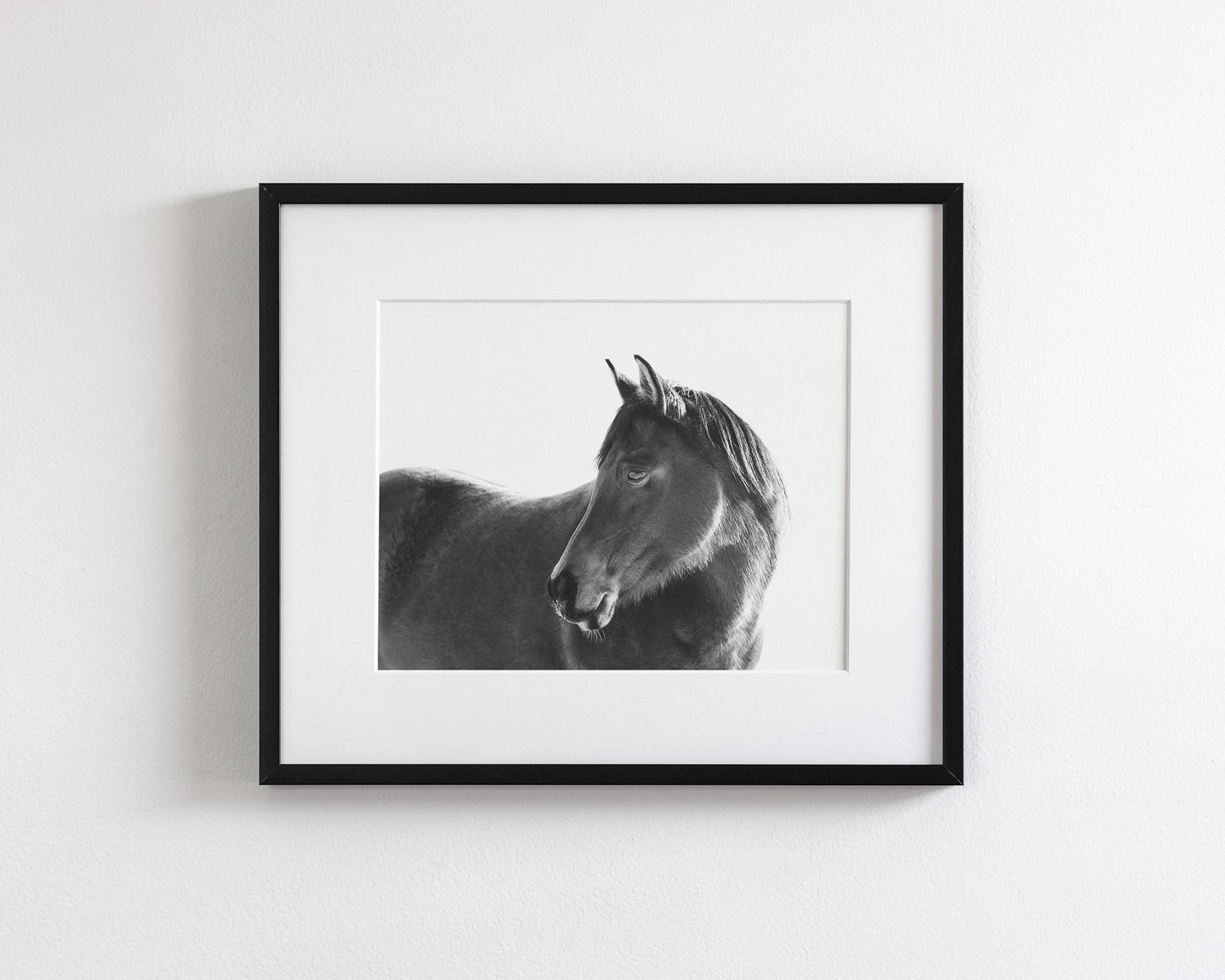 Dark Horse
