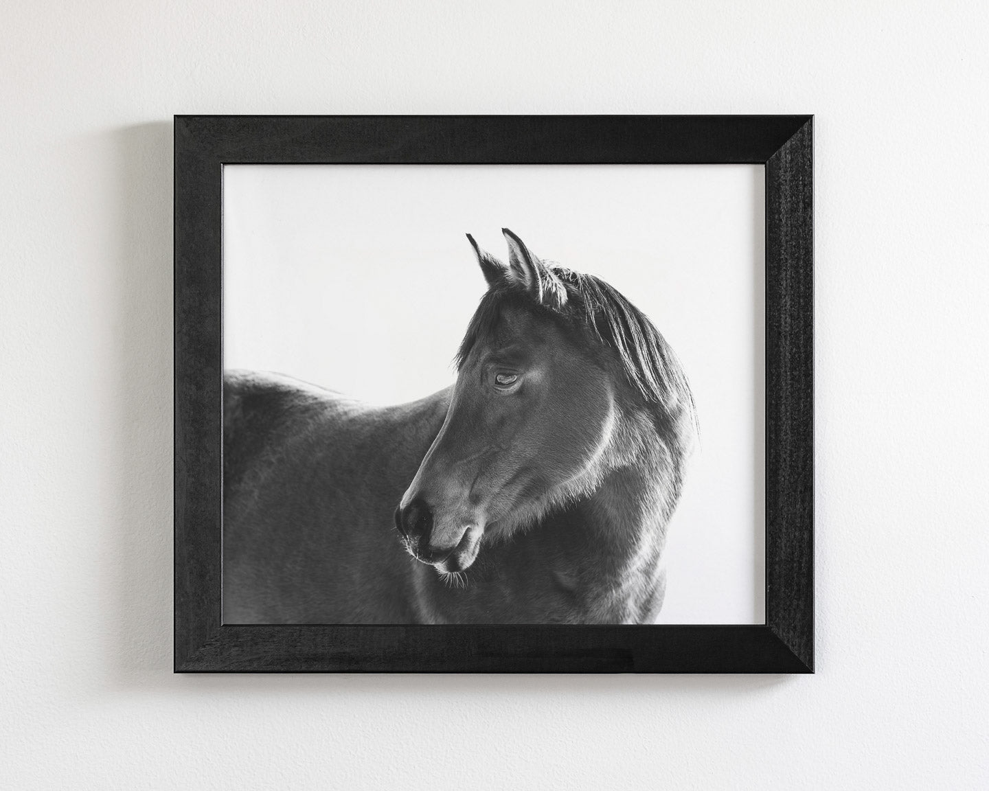 Dark Horse