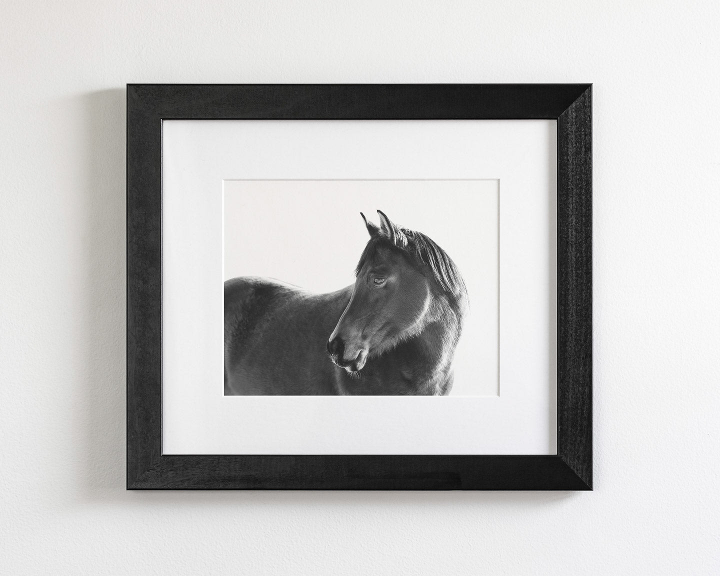 Dark Horse