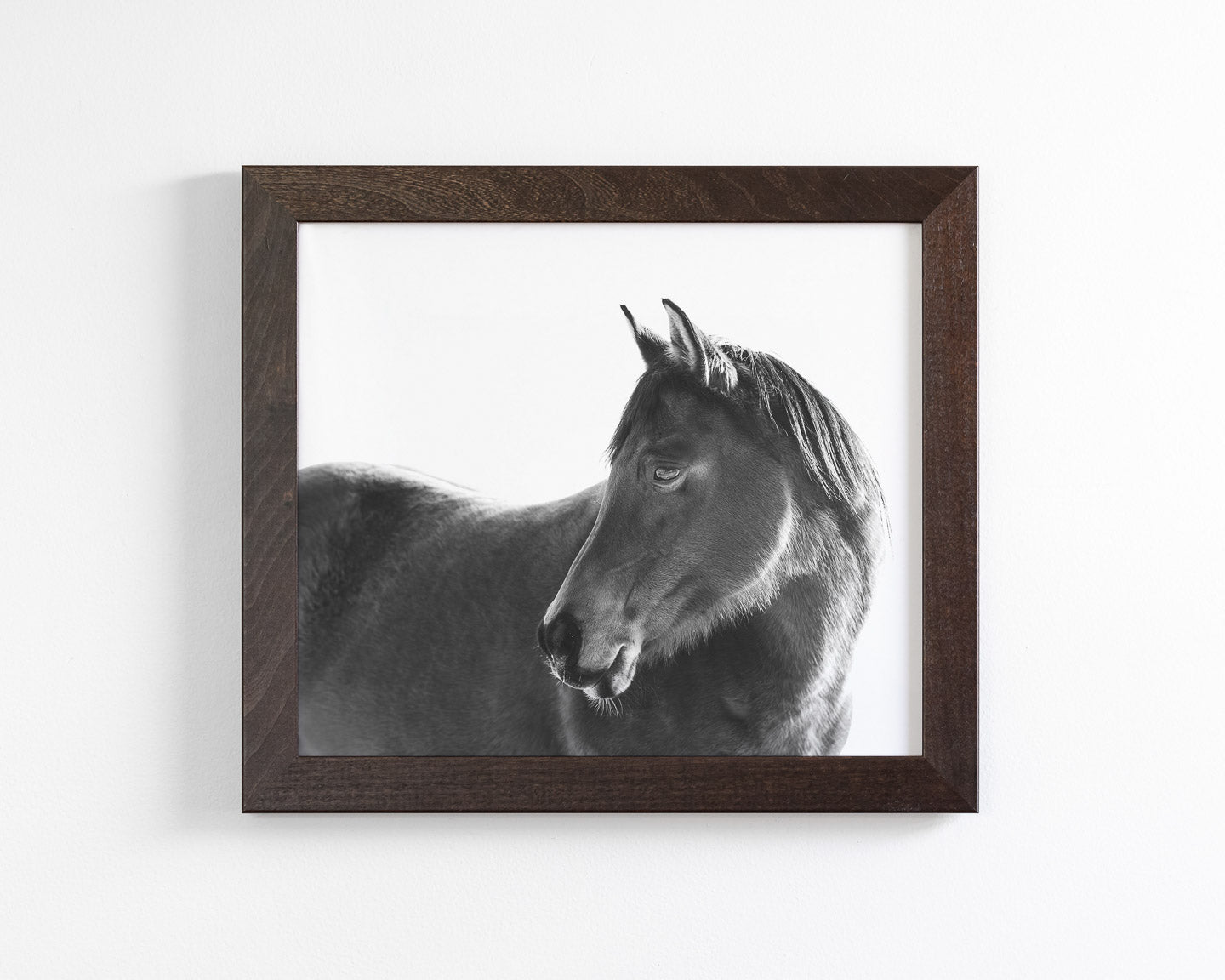 Dark Horse