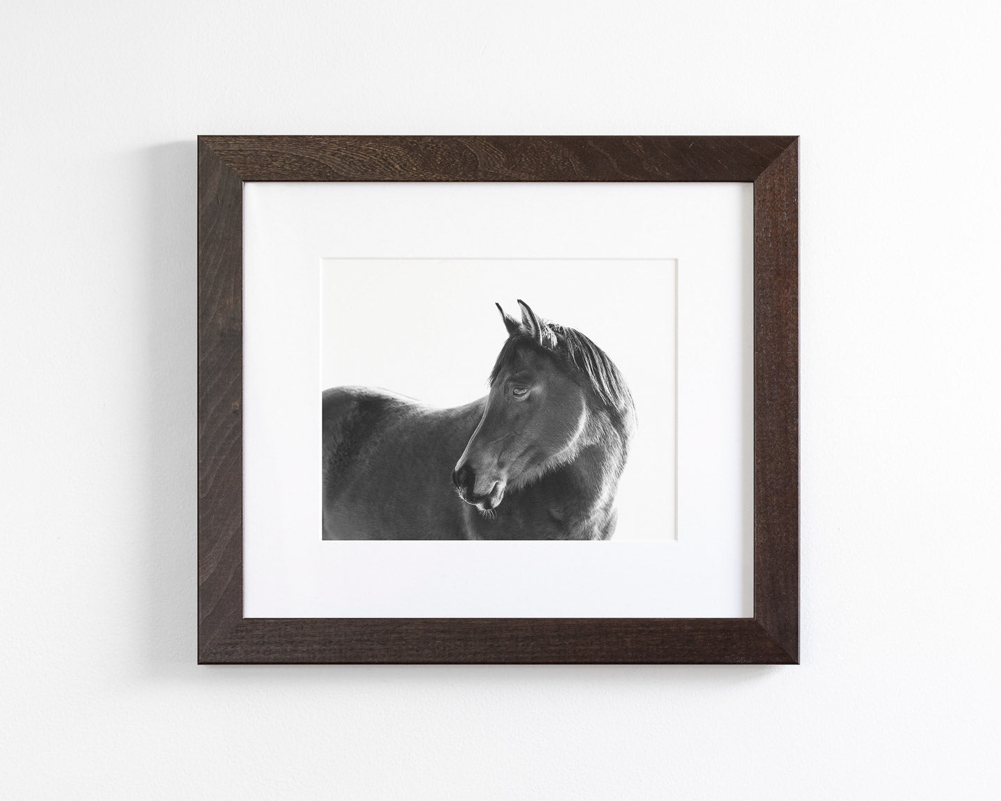 Dark Horse